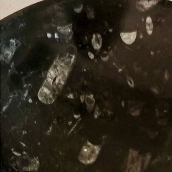 Orthoceral Fossil Stone Carved Bowl - Kuber Stone - Picture 4 of 4